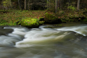 Wildbach im Allg&auml;u.