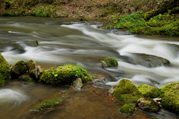 Wildbach im Allg&auml;u.