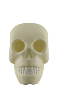Human skull in cartoon style isolated on transparent and white background. Anatomy concept. 3D render
