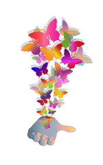 a butterflies and open palm