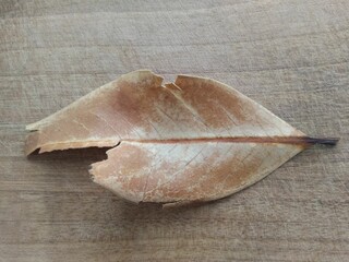 Drought and aging, natural product.