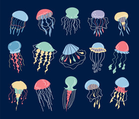 Jellyfish medusa sea jelly animal underwater marine wildlife isolated set. Vector flat graphic design illustration
