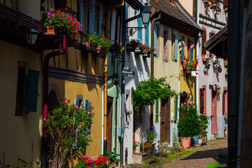 Fototapeta na wymiar The beautiful colorful half timbered houses of Alsace village Equisheim - France 