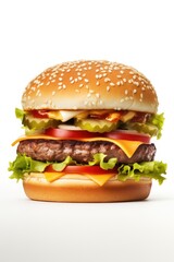 Burger's close-up isolated against a white background
