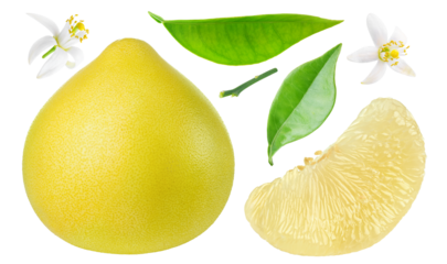 Pummelo whole fruit, peeled segment, leaves and blossoms collection cut out