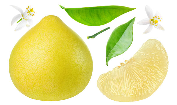 Pummelo whole fruit, peeled segment, leaves and blossoms collection cut out