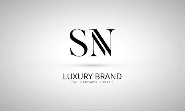 SN S sn initial logo | initial based abstract modern minimal creative logo, vector template image. luxury logotype logo, real estate homie logo. typography logo. initials logo