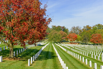 Rows of heroes buried at Arlington National Cemetery in Virginia, some dating from the American...