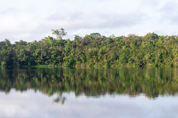 Amazon rainforest reflection: Pristine landscape mirrored in Caxiuana river waters in the Marajo...