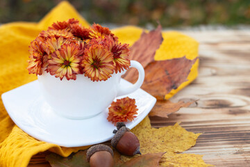 autumn background with orange flowers in a white cup on a wooden background