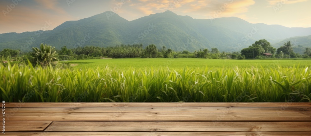 Poster brown wooden shelf with blurred green rice field farm mountain and hut background copy space image p