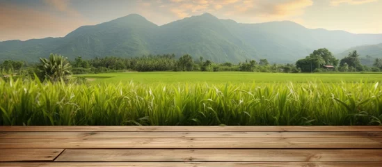 Foto op Canvas Brown wooden shelf with blurred green rice field farm mountain and hut background Copy space image Place for adding text or design © Ilgun