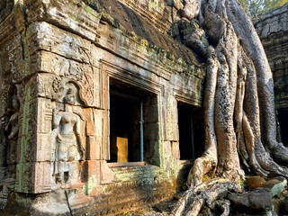 Fototapeta na wymiar Ta Prohm, a mysterious temple of the Khmer civilization, located on the territory of Angkor in Cambodia
