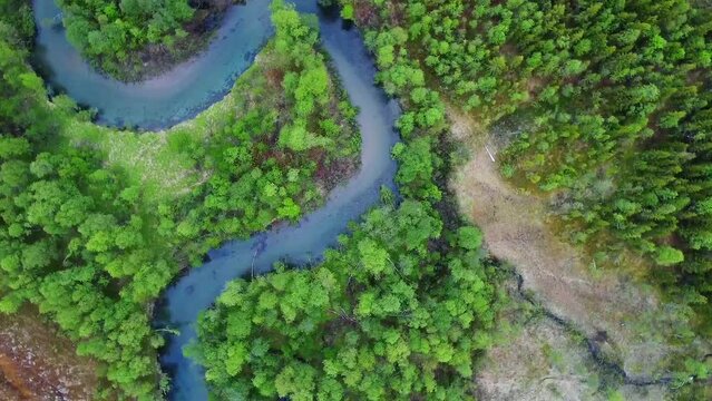 Top view of a Lavangsdalen River in the forest in Norway