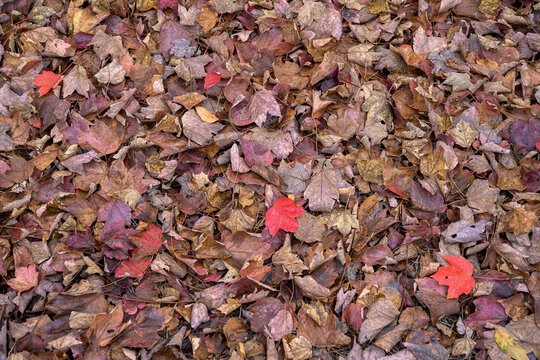 Autumn '23
