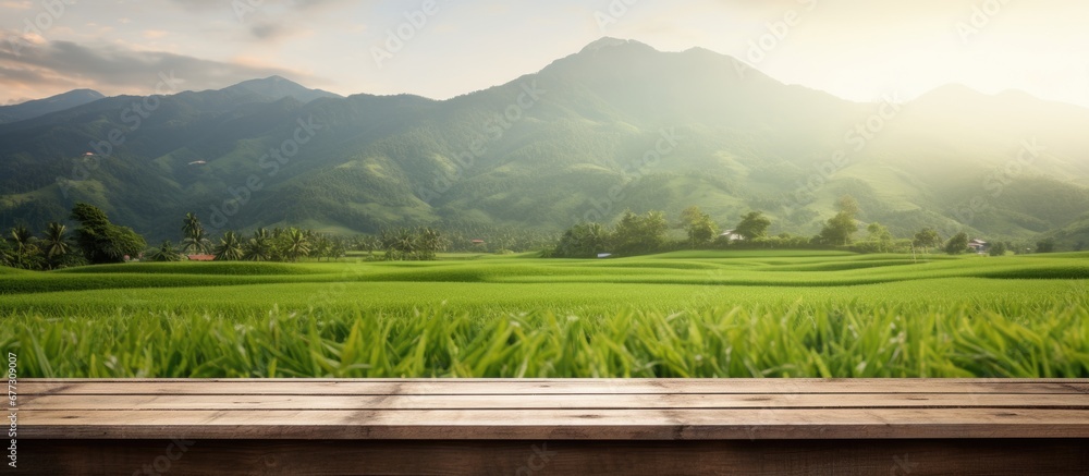 Poster brown wooden shelf with blurred green rice field farm mountain and hut background copy space image p