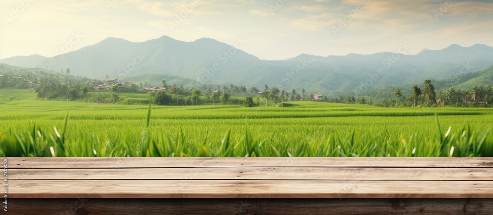 Poster brown wooden shelf with blurred green rice field farm mountain and hut background copy space image p
