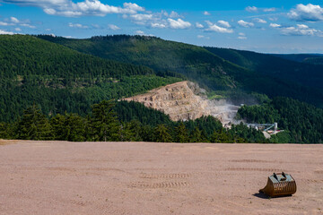 Deforestation cutting down tree in the Black forest of Germany