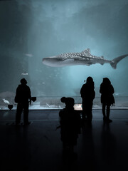 Vertical shot of people standing near an aquarium with a Whale