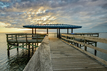 Wooden pier on a tranquil sea during a beautiful sunrise in Safety Harbor, Florida