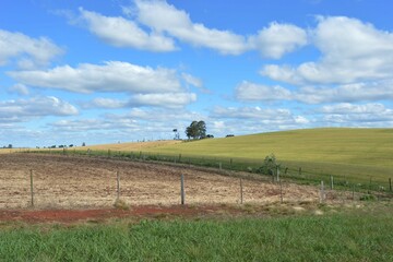 Agricultura. terra pronta para o plantio da lavoura