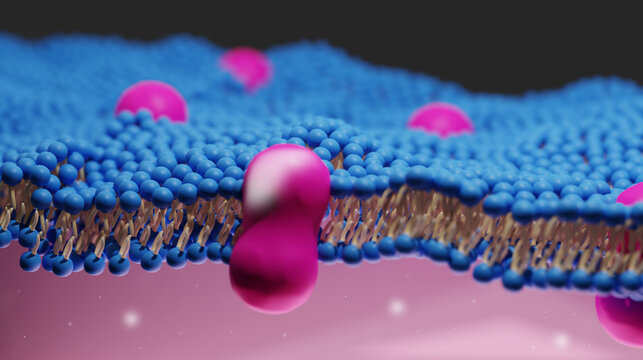 Detailed section 3D illustration of the extracellular matrix within the human body in color. Pink. Blue. Yellow. Scientific Illustration
