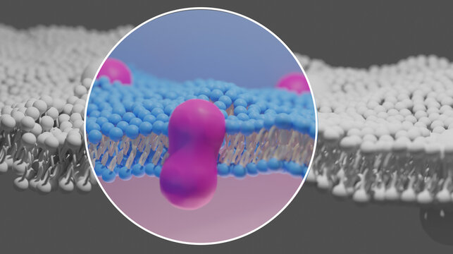 3D Illustration of the Extracellular Matrix. Detailed section highlighted in color and circled with a white outline. Pink. Blue. Yellow. Scientific Illustration