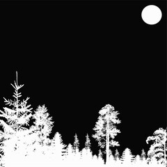 pine white forest silhouettes isolated on black