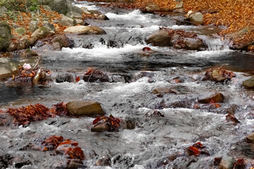 Stream of the water in the river, small waterfalls and stones. 