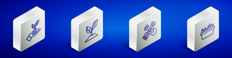 Set Isometric line Plant in hand of environmental, , Shovel rake and Fresh grass rectangular icon. Vector