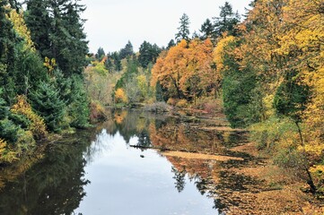 Autumn river colors
