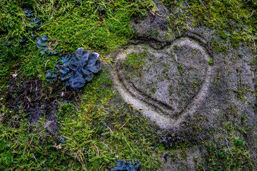 heart engraved in rock. traces of love.