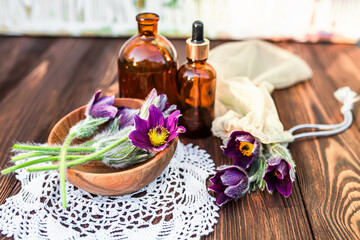 Eastern pasqueflower , cutleaf anemone, Pulsatilla patens in a wooden bowl on a table
