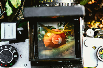 photocamera