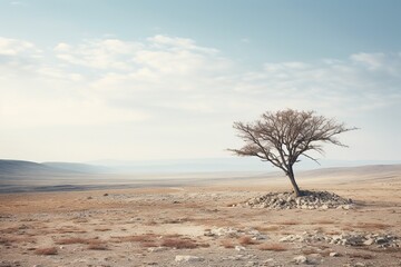 Fototapeta na wymiar A solitary tree budding in the midst of a barren landscape