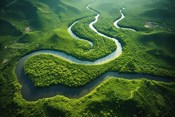 Aerial view of a meandering river through a sunlit valley, surrounded by lush greenery