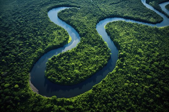 Aerial view of an oxbow lake shaped like a horseshoe, surrounded by a dense forest