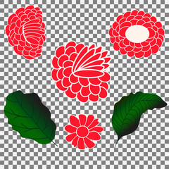 design elements - several red exotic flowers and two leaves.