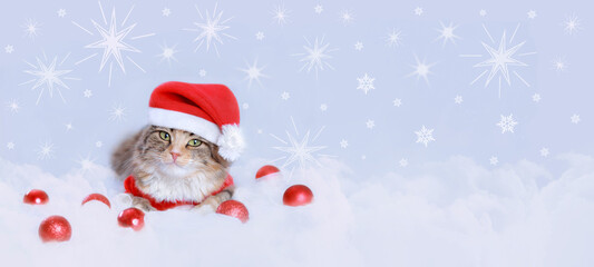 Naklejka na ściany i meble Christmas Cat. Holiday. Starry sky Snowflake 
