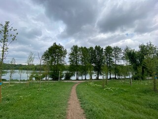Narrow trail in the green meadow with trees against the background of the cloudy sky.