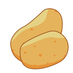 Two light brown potatoes on the white background. Color vector illustration. Food ingredient for health. Popular vegetables