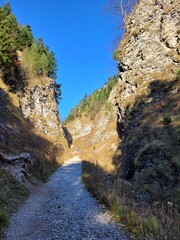 Road in the mountains