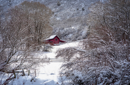 Winter scene with freshly fallen snow with abandon red barn