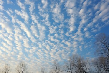 Cirrocumulus floccus dotting the sky like cotton specks