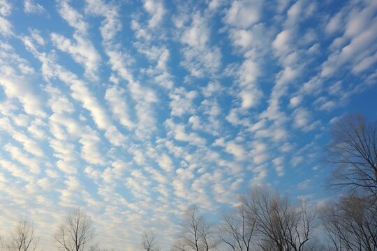 Cirrocumulus floccus dotting the sky like cotton specks