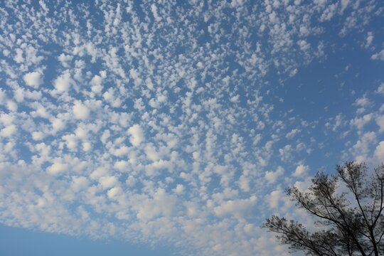 Cirrocumulus floccus dotting the sky like cotton specks