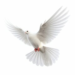Flying White Dove Isolated on White Background. Generative ai