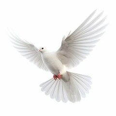 Fototapeta premium Flying White Dove Isolated on White Background. Generative ai