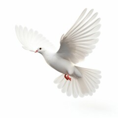 Obraz premium Flying White Dove Isolated on White Background. Generative ai