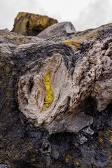 Yellow sulfur in Volcanic rock, Galapagos